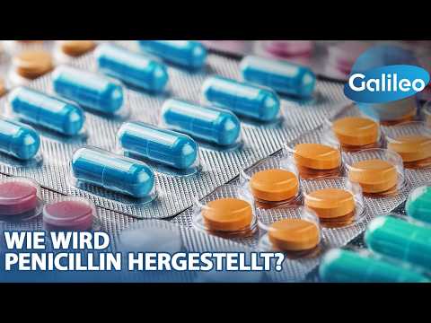 Die Antibiotika-Fabrik des Westens: Wie wird Penicillin hergestellt?