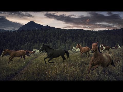 I'm Listening || Wild Horses Music Video