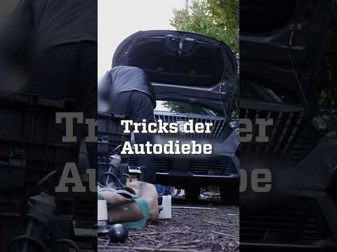 So wird ein gestohlenes Auto wieder „sauber“ #zdfinfo #auto #diebstahl