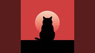 Black Cat