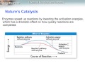 Enzyme Function and Chemical Reactions