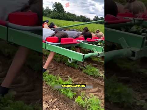 Kreatifitas petani di jerman