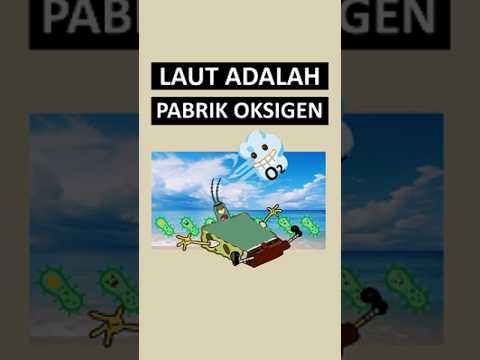 Nahh jadi.. pasti bakal ada yang nanya "kalo gitu ngapain kita nanem pohon?" yaaa kannn😜😜😜