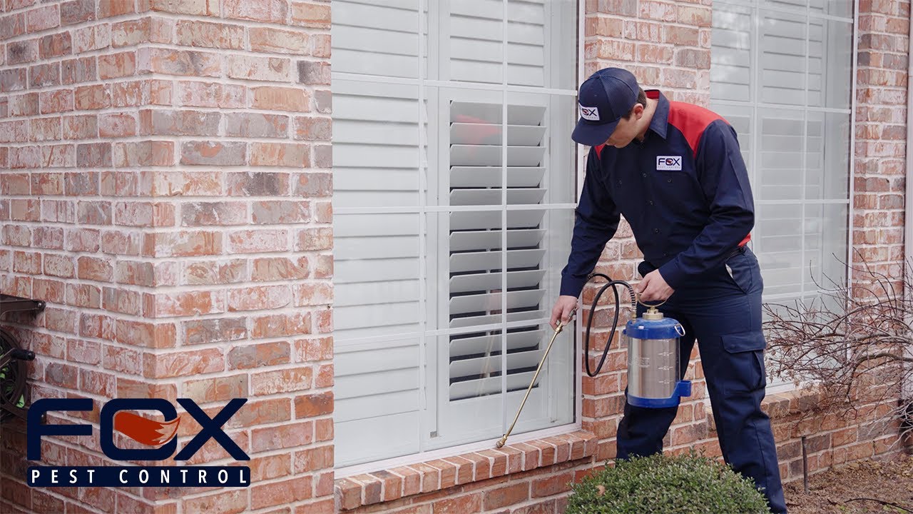 Why you should choose Fox Pest Control in Lafayette