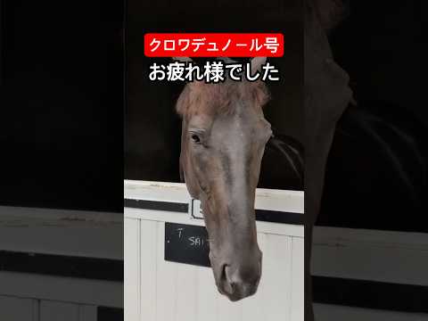 凱旋門賞前哨戦勝利のクロワデュノール #shorts #horse #競馬 #凱旋門賞