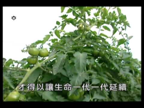 11植物的繁殖 - YouTube(2分45秒)