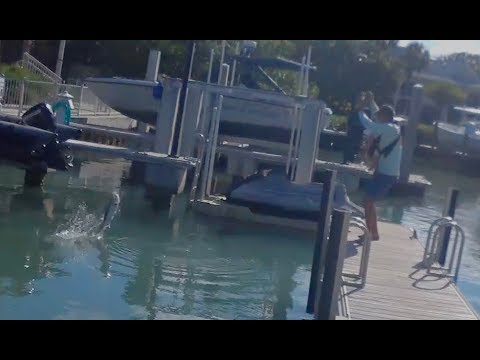 An AMAZING FISH during Family Picnic! Lots of surprises!