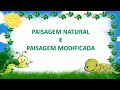 Identificação de Paisagens Modificadas