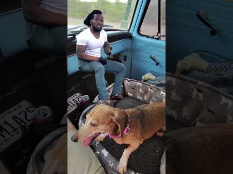 my happy place #classics #roadtrip