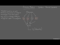 Scientific Method Concepts and Applications