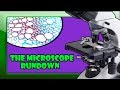 Mastering Microscope Parts and Usage