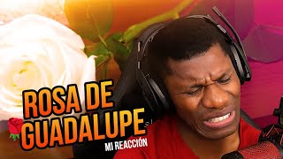 ¿Estás preparado para la REACCIÓN más sorprendente de La Rosa de Guadalupe?
