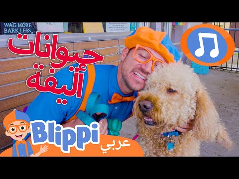 بليبي يعتني بالحيوانات | أغاني الأطفال | برنامج بليبي التعليمي *Cute Pets* 🎶 Blippi - بليبي بالعربي