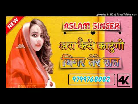 असलम_सिंगर_मेवाती_सॉन्ग_2021_का_(Aslam_singer_mewati_song_naye_tarj_ke)(256k) MO. 9799768082