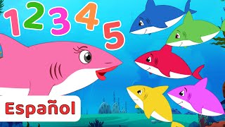 Cinco Bebe Tiburones + Carros Canciones Infantiles | Fun For Kids TV Español