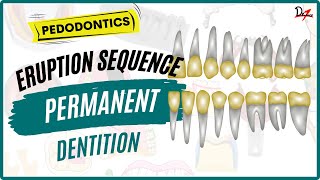 Teeth Eruption Sequence Mnemonic | Permanent Dentition