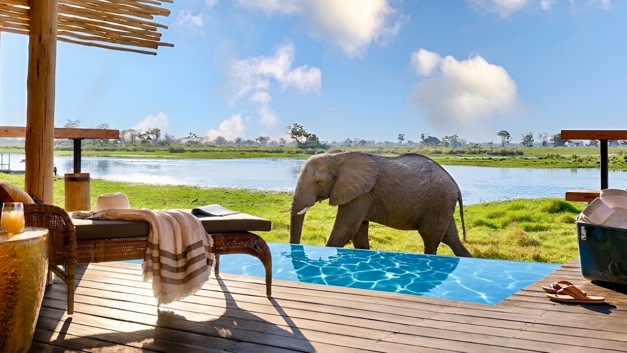 Luxury in Africa - Eagle Island Lodge, a Belmond Safari (full tour in 4K)