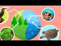 Biodiversity Conservation and Its Importance