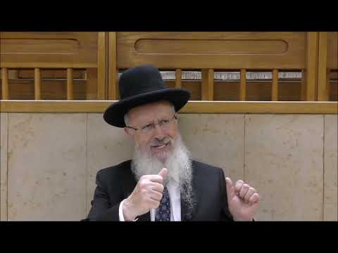 הגאון הרב אברהם יוסף שליט"א דיני והלכות י"ז בתמוז תשפ"ו