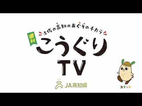 「こうぐりTV」#12月1日週放送
