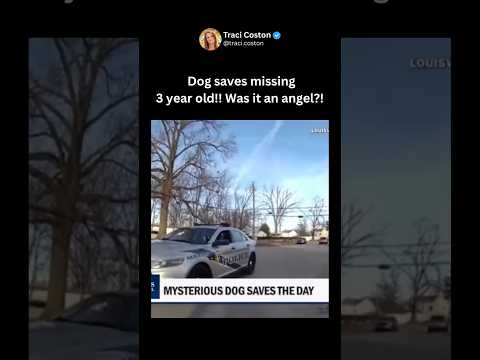 Was this dog an angel?! Officer hasn’t seen it before or since! #news