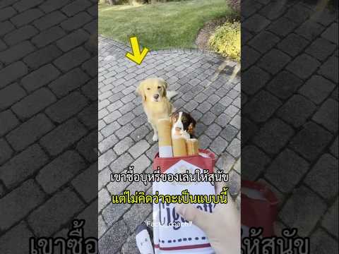 เขาคิดขำๆที่ซื้อของเล่นชิ้นนี้ และไม่คิดว่าจะเป็นแบบนี้