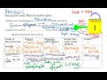 Enzyme Function and Activity Concepts