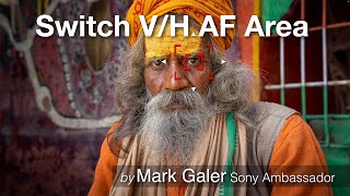 Switch V/H AF Area: Sony Focus Menu Setting