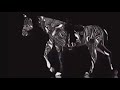 Video Engagement and Appreciation Concepts