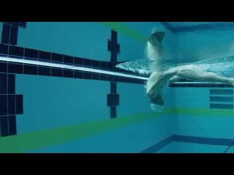 오랜만에 자유형 영상으로 인사드립니다!