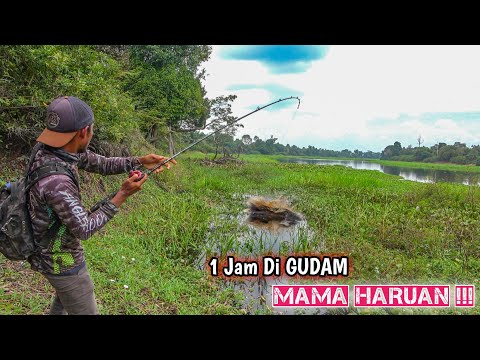 Inilah Keinginan Para Pemancing Namun Kadang Saat OTW Hasil Tak Sesuai Kenyataan 🤣🤣🤣