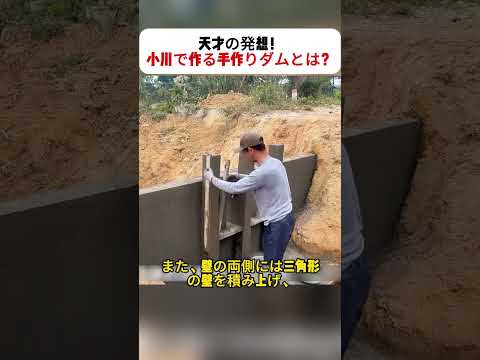 天才の発想！小川で作る手作りダムとは？ 手作業で実現した驚きの水流コントロール！ #DIY #ダム作り #水流調整 #手作業 #クリエイティブ
