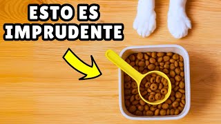 7 ERRORES que debes evitar al guardar el PIENSO de tu GATO ❌