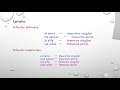 Defining Articles in Spanish Grammar