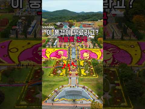 이 풍경이 <strong>무료라고</strong>? 가을꽃 천국 #가을여행 #트레킹