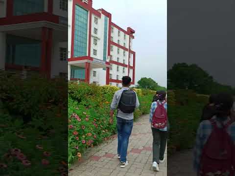 ...🤦😶hamare haal... #song #miet #vibes #trendingvideo #college