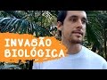 Espécies Invasoras e Biodiversidade