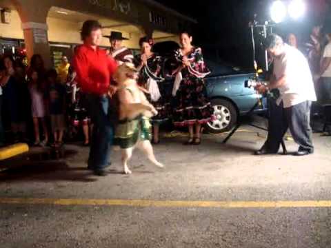 Dancing Merengue Dog