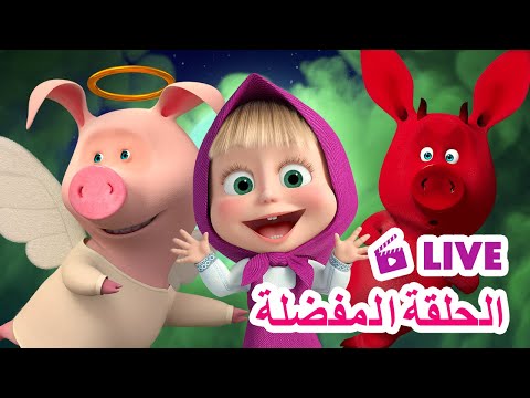 ماشا والدب 🐻👱‍♀️ LIVE STREAM! 🎬 الحلقة المفضلة🌟 Masha and the Bear