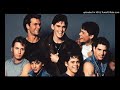 Understanding the Greasers and Socs