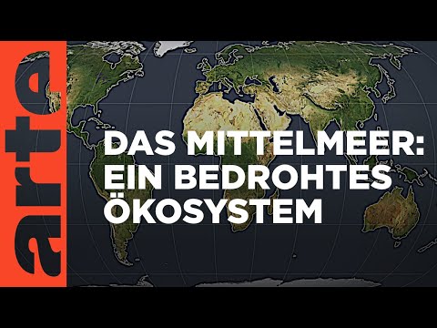 Das Mittelmeer: Ein bedrohtes Ökosystem | Mit offenen Karten | ARTE