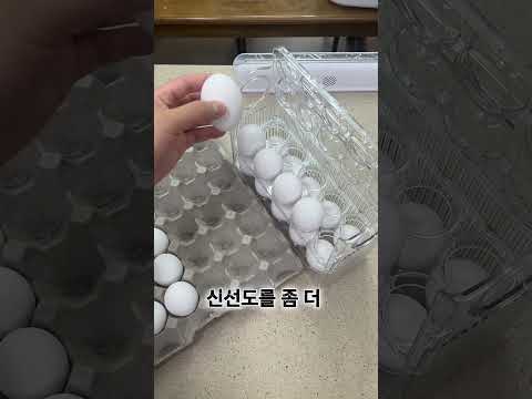 2년째 매일 쓰는 쿠팡 꿀템 3가지 #살림노하우 #살림초보 #살림팁 #쿠팡추천 #쿠팡추천템