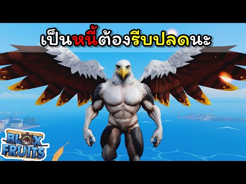 เป็นหนี้ต้องรีบปลดนะ [Blox Fruits]