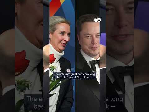 Is Elon Musk interfering in Germany's election? | DW News