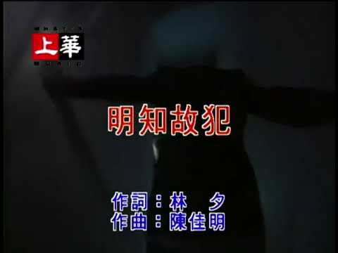 許美靜 明知故犯 伴奏 KTV 純音樂