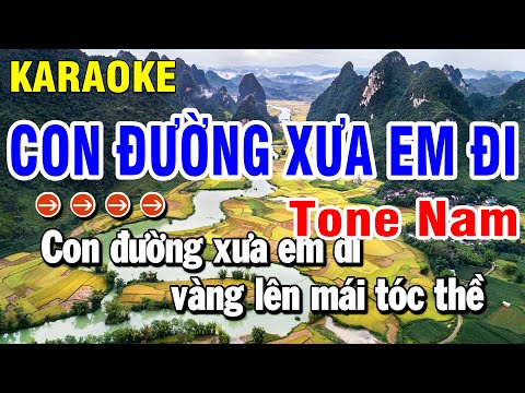 Karaoke Thành Phố Buồn Nhạc Sống Tone Nữ | Huỳnh Anh