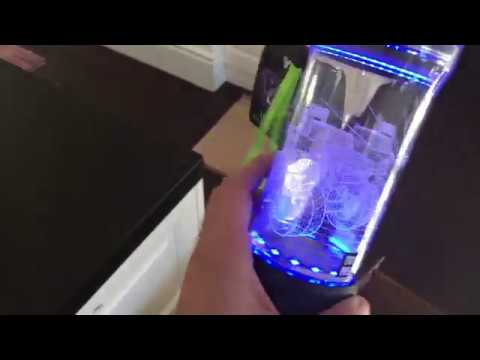 Light-Up Water Bottle And Lunch Box!