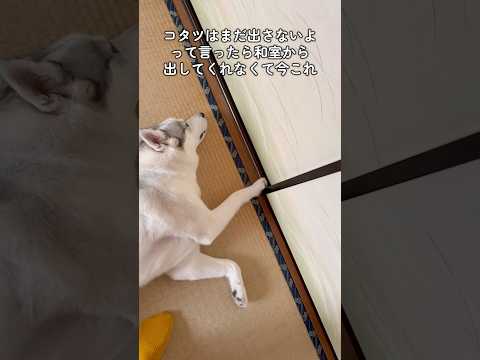 もう少し待ってくれ #shorts