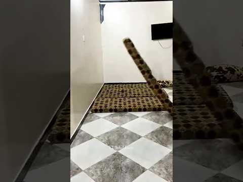 survival skills simple and useful #bushcraft #camping #outdoors