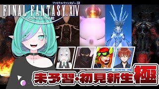 【 FF14 / 視聴者参加型 】はじめての極🔰未予習・初見で新生極どこまでいける？ レベルシンク・超える力有【  meteorDC🦄/Vt